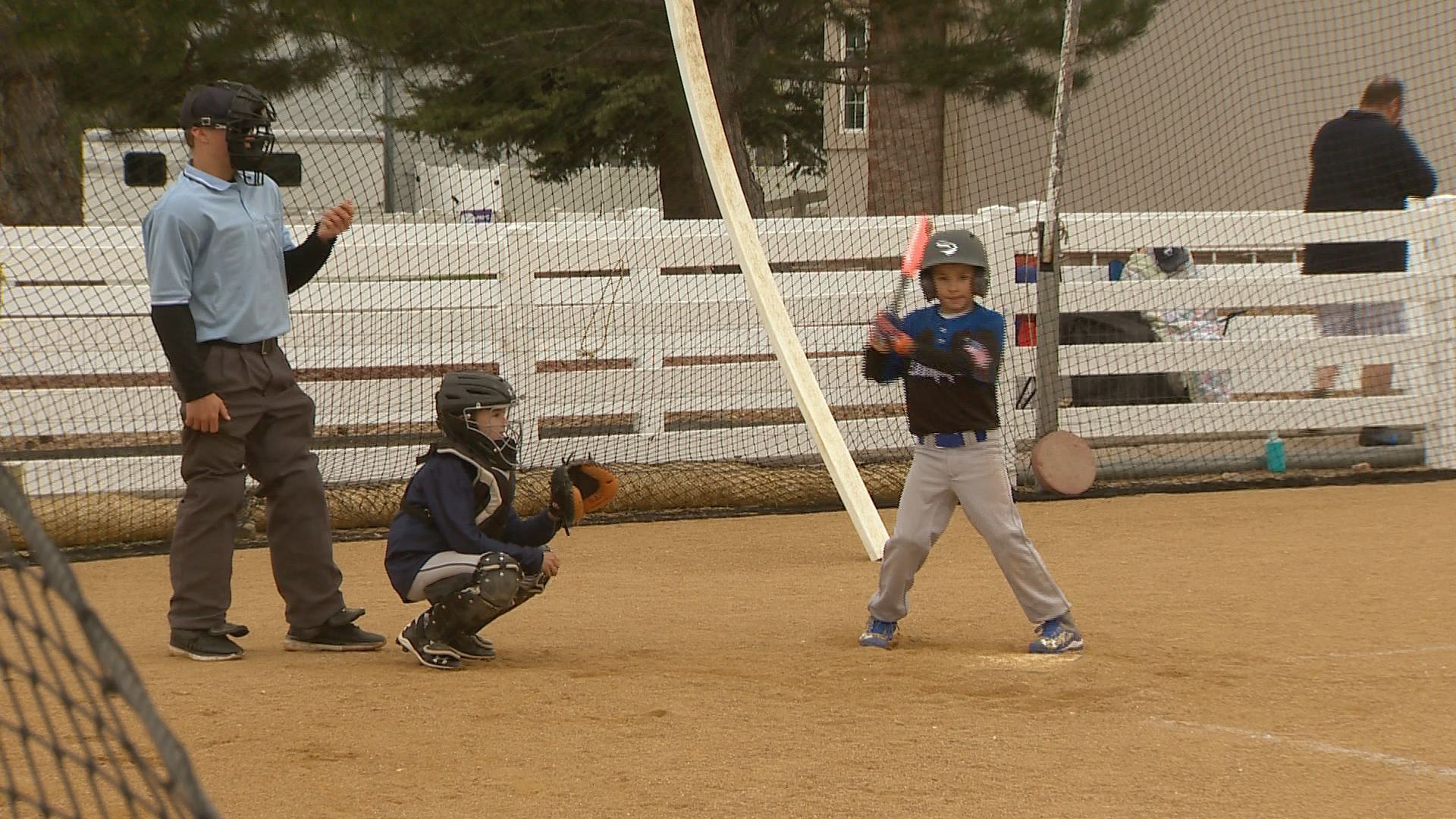 Backyard Baseball Players Backyard Ideas